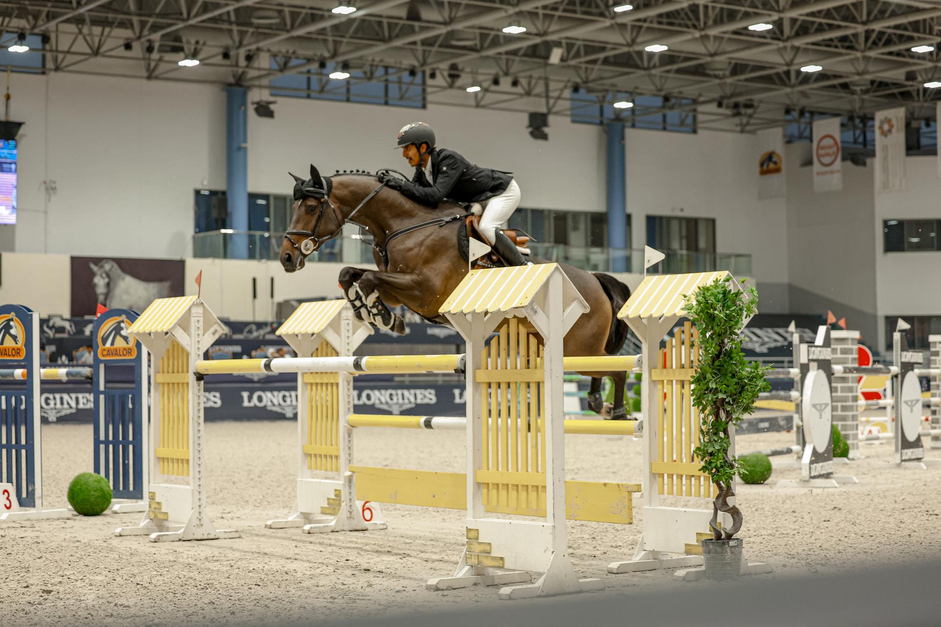 Show Jumping