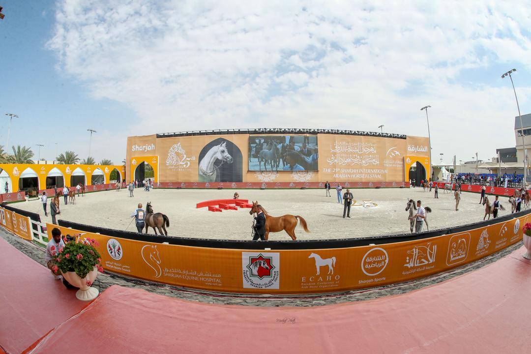 community and strengthening the club's position