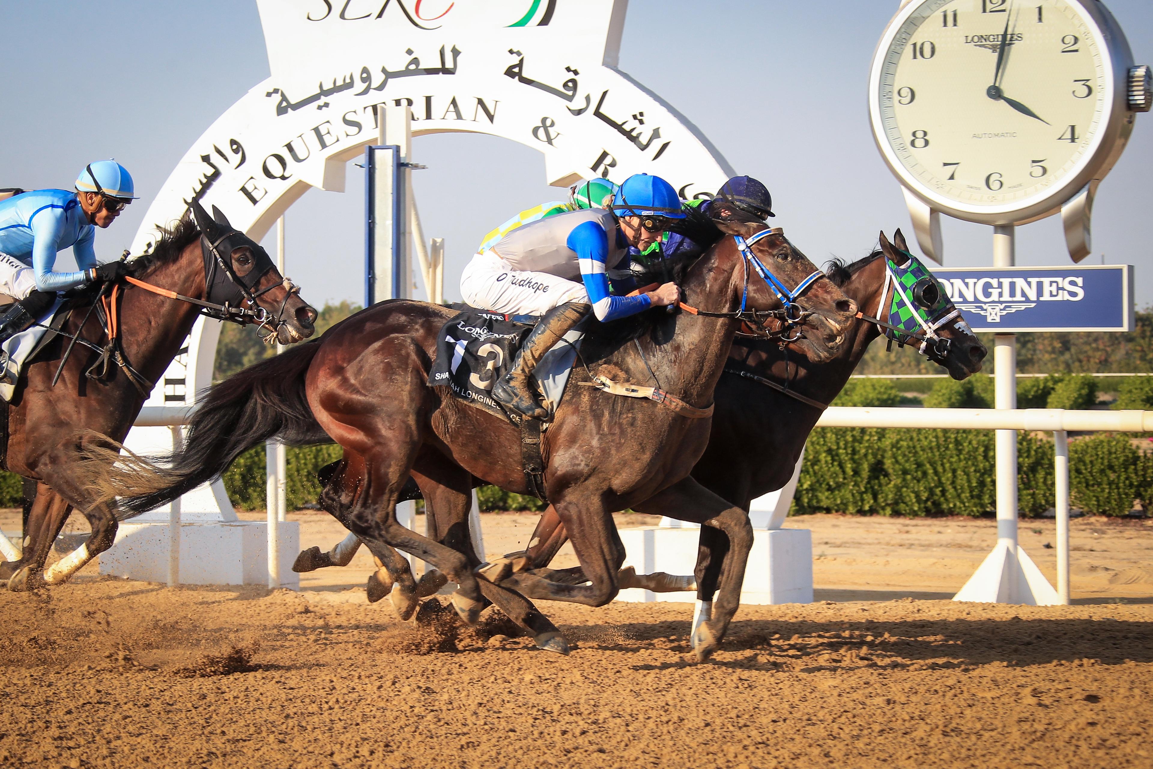 Sheikh Hamdan bin Rashid Al Maktoum Cup